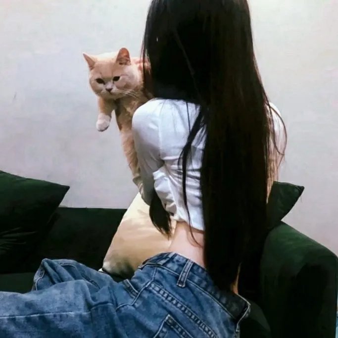 寒蝉鸣泣之时·卒